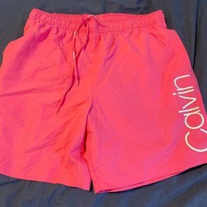Calvin Klein Swimsuit (Large)